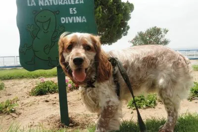 EMILIO