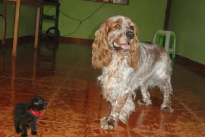 EMILIO Y BONI