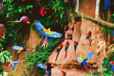 En la Amazonia. AmÃ©rica del Sur