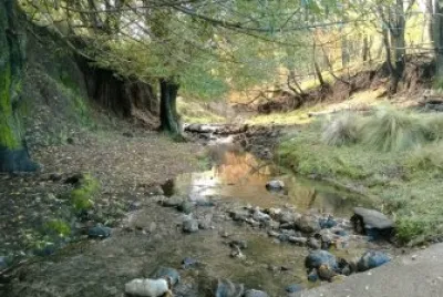 En la Provincia de Mendoza. Argentina