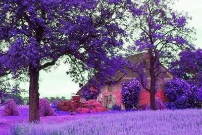 Natureza