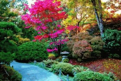 jardin jigsaw puzzle