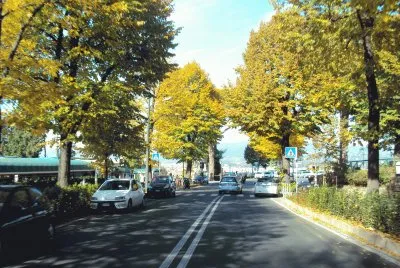 Avenida