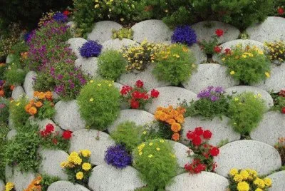 Imagem jigsaw puzzle