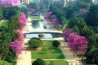 jardim jigsaw puzzle
