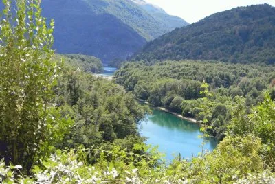 PN Los Alerces. Chubut. Argentina jigsaw puzzle