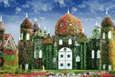 Diversos jigsaw puzzle