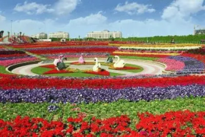 Diversos jigsaw puzzle