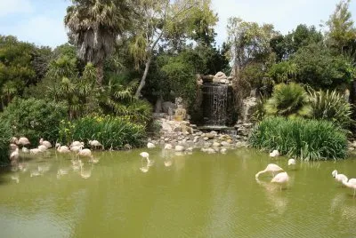 San Clemente del TuyÃº. Buenos Aires. Argentina jigsaw puzzle