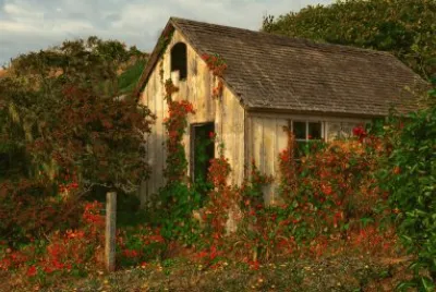 Natureza jigsaw puzzle