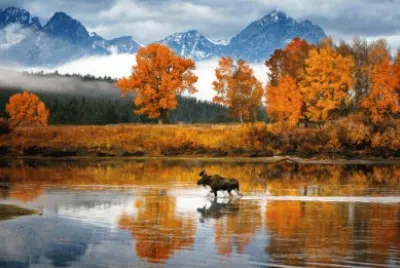 Natureza jigsaw puzzle