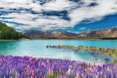 Natureza jigsaw puzzle