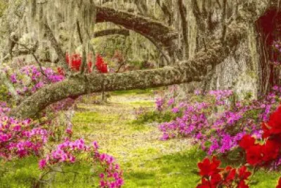 Diversos jigsaw puzzle