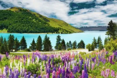 Campo jigsaw puzzle