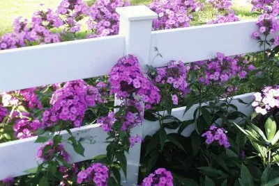 Flores jigsaw puzzle