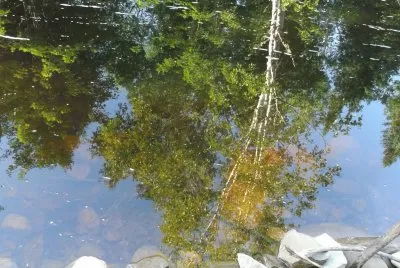 Reflections at the river bank jigsaw puzzle