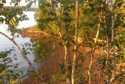 Favourite spot along the Miramichi River jigsaw puzzle
