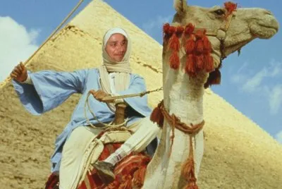 ×¢×©×¦×©×š