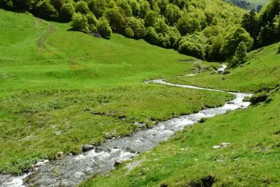 Le calme de la campagne jigsaw puzzle