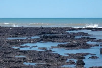 Cerca de Necochea. Buenos Aires. Argentina