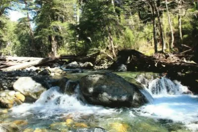 En Bariloche. RÃ­o Negro. Argentina