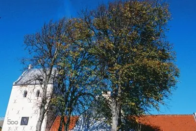 פאזל של Natureza