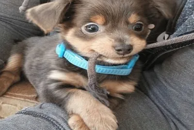 cute