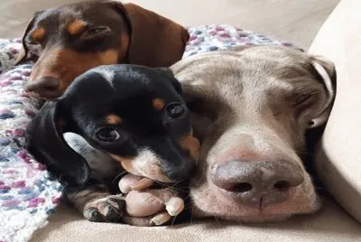 Buenos Dias :)