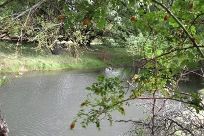 RÃ­o Gualjaina. Chubut. Argentina