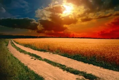 Natureza