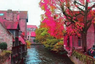 פאזל של paisaje rosa