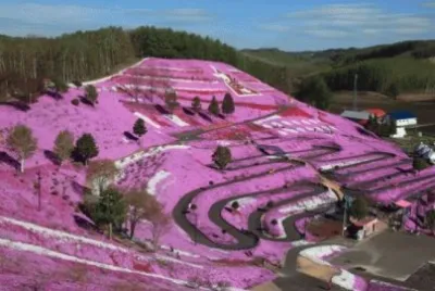 MontaÃ±a de flores