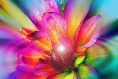 Colored Flower