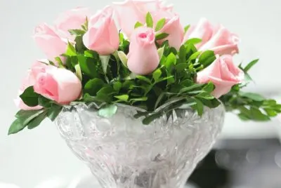 Rosas