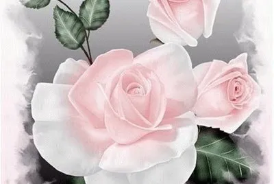Rosas