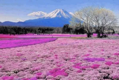 Natureza