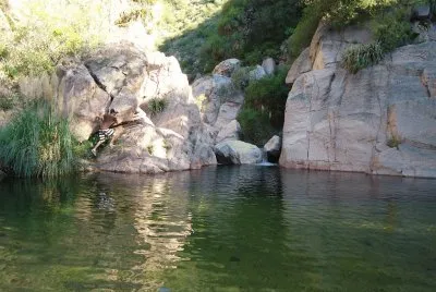 Papagayos. San Luis. Argentina