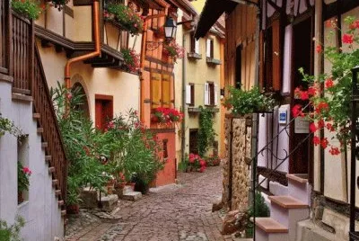 rue