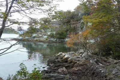 PN Tierra del Fuego. Argentina