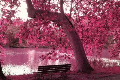Lago