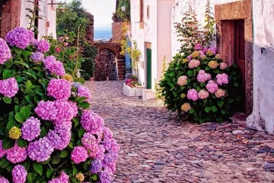Natureza
