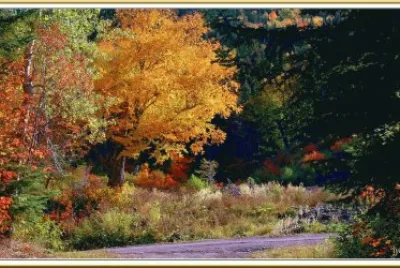 Natureza