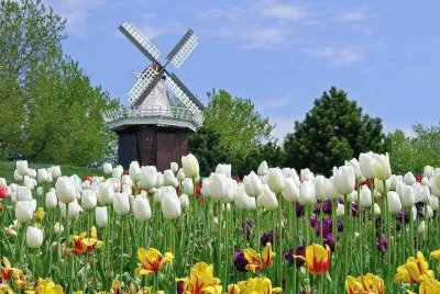 Natureza