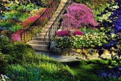 jardim