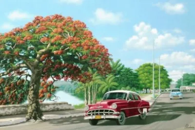 carro