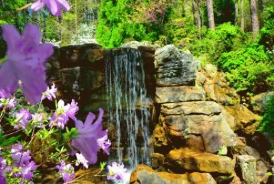 Natureza jigsaw puzzle