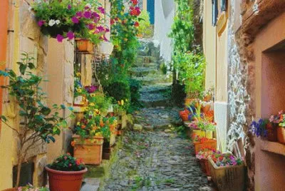 ruelle