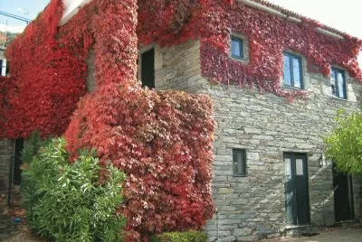 Natureza