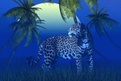 Leopard jigsaw puzzle