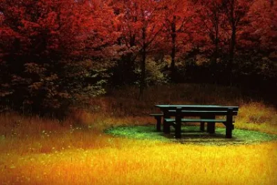 533 jigsaw puzzle